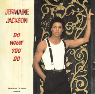 <span class="mw-page-title-main">Do What You Do (Jermaine Jackson song)</span> 1984 single by Jermaine Jackson