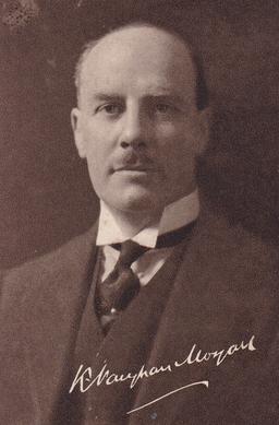 <span class="mw-page-title-main">Kenyon Vaughan-Morgan</span> British politician