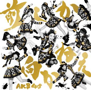 <span class="mw-page-title-main">Mae shika Mukanee</span> 2014 single by AKB48