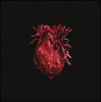 Mehr Heart Than Brains Album cover.jpg