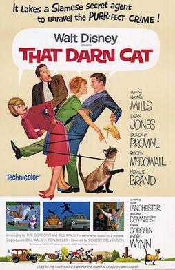 <i>That Darn Cat!</i> 1965 American thriller comedy film by Robert Stevenson