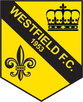 <span class="mw-page-title-main">Westfield F.C. (Surrey)</span> Association football club in England