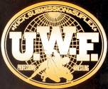 Universal Wrestling Federation (Japan) Japanese professional wrestling promotion