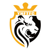 <span class="mw-page-title-main">Yunnan Flying Tigers F.C.</span> Chinese football club