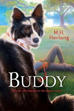 <i>Buddy</i> (Herlong novel) 2012 novel by M.H. Herlong