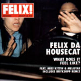 What Does It Feel Like? 2001 single by Felix da Housecat featuring Miss Kittin and Melistar