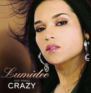 <span class="mw-page-title-main">Crazy (Lumidee song)</span> 2007 single by Lumidee featuring Pitbull