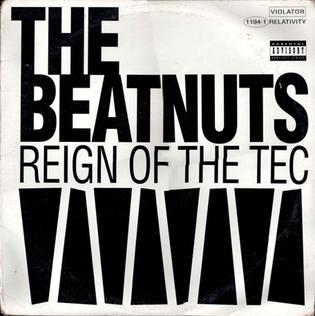 Reign of the Tec 1993 single by The Beatnuts