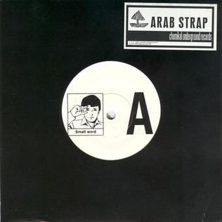 <span class="mw-page-title-main">The First Big Weekend</span> 1996 single by Arab Strap