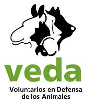 Voluntarios en Defensa de los Animales organization