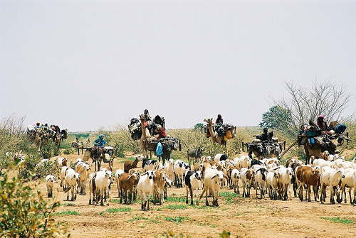 File:Baggara Arabs.jpg