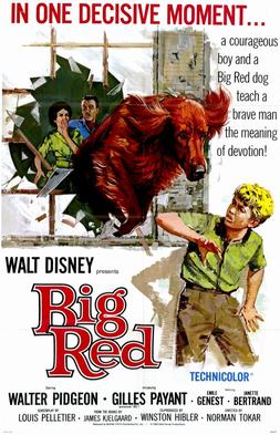 <i>Big Red</i> (film) 1962 film by Norman Tokar