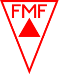 <span class="mw-page-title-main">Campeonato Mineiro</span> State football league of the Brazilian state of Minas Gerais