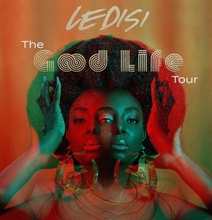 <span class="mw-page-title-main">The Good Life Tour</span> 2024 concert tour by Ledisi