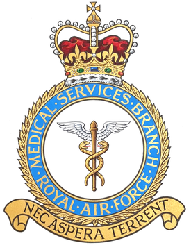 <span class="mw-page-title-main">RAF Medical Services</span> Medical service of the Royal Air Force