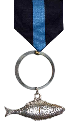 <span class="mw-page-title-main">Silver Fish Award</span> Highest adult award in Guiding