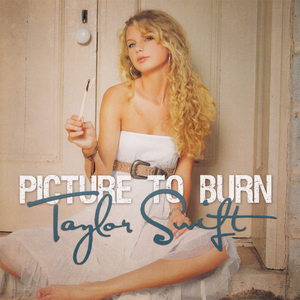 <span class="mw-page-title-main">Picture to Burn</span> 2008 single by Taylor Swift