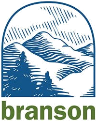 Логотип школы Брэнсона. png 