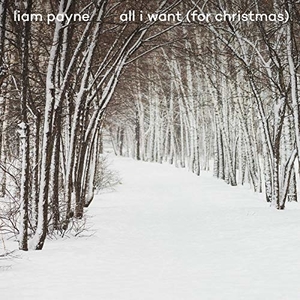 <span class="mw-page-title-main">All I Want (For Christmas)</span> 2019 single by Liam Payne