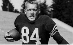 <span class="mw-page-title-main">Don Steinbrunner</span> American football player (1932–1967)