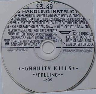 <span class="mw-page-title-main">Falling (Gravity Kills song)</span> 1998 single by Gravity Kills