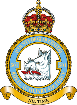 <span class="mw-page-title-main">No. 501 Squadron RAF</span> Military unit