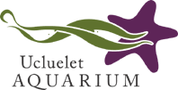 <span class="mw-page-title-main">Ucluelet Aquarium</span> Zoo in British Columbia, CAN