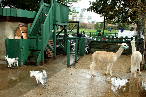 File:VauxhallCityFarm.JPG