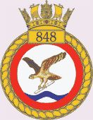 File:848 NAS Bagde.jpg