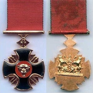<span class="mw-page-title-main">Distinguished Gallantry Cross</span> Award