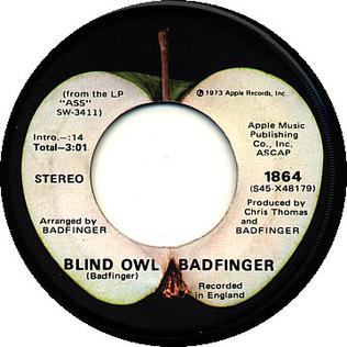 File:Blind Owl.jpg