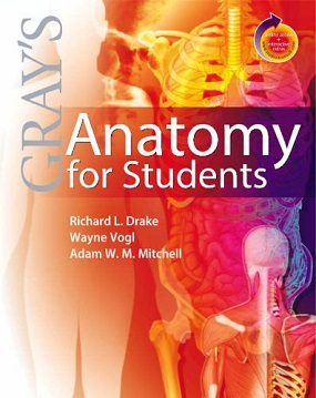 Dental anatomy book