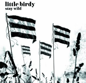 <span class="mw-page-title-main">Stay Wild</span> 2009 single by Little Birdy