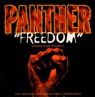 Freedom (Theme from <i>Panther</i>) 1995 single by various artists