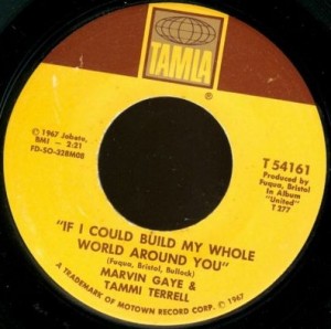 If I Could Build My Whole World Around You 1967 single by Marvin Gaye & Tammi Terrell