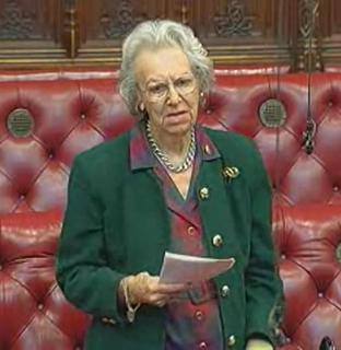 Beryl Platt, Baroness Platt of Writtle Politician; life peer