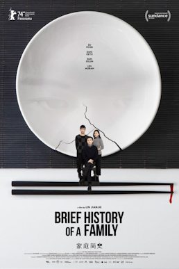 <i>Brief History of a Family</i> 2024 mystery thriller film