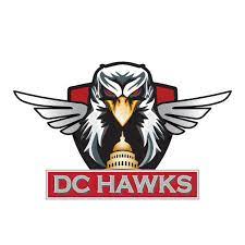 File:DC Hawks Logo.jpg