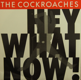 Hey What Now! 1988 single by The Cockroaches