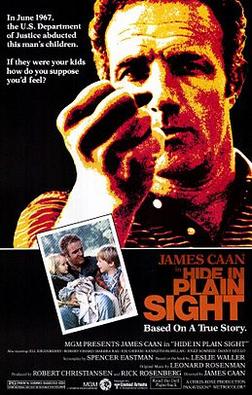 <i>Hide in Plain Sight</i> 1980 American film