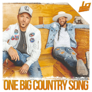 <span class="mw-page-title-main">One Big Country Song</span> 2019 single by LoCash