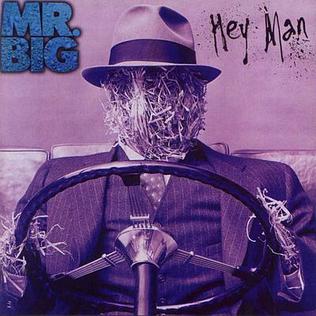 <i>Hey Man</i> 1996 studio album by Mr. Big