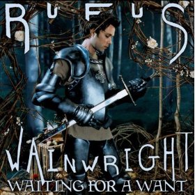 File:Rufus Wainwright Waiting for a Want album cover.jpg