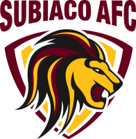 <span class="mw-page-title-main">Subiaco AFC</span> Football club