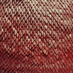 <i>Carnelian</i> (album) 2015 studio album by Kill the Vultures