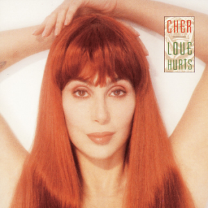 <i>Love Hurts</i> (Cher album) 1991 studio album by Cher