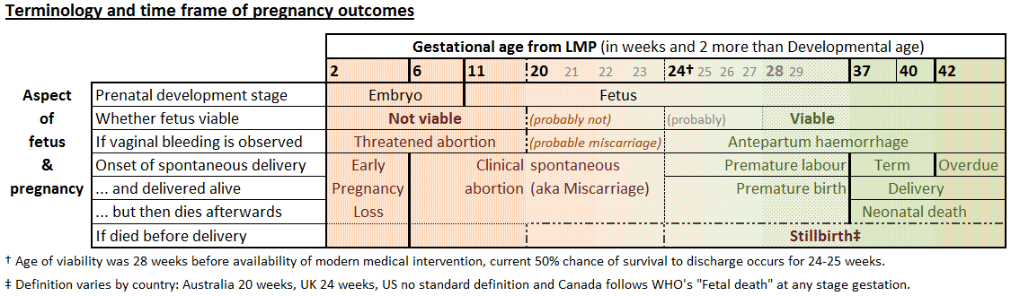 Miscarriage By Week Chart