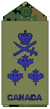 File:Air Force olive LGen.png