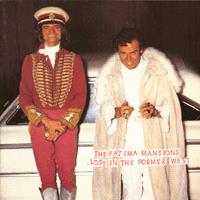 <i>Lost in the Former West</i> 1994 studio album by The Fatima Mansions