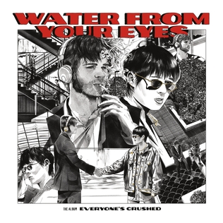 <i>Everyones Crushed</i> 2023 studio album by Water from Your Eyes